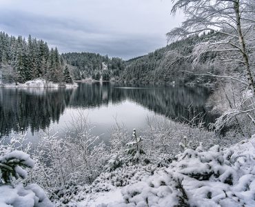 k-20211226-DSC00606