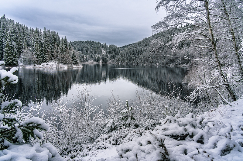 k-20211226-DSC00606
